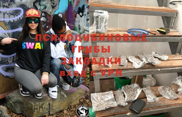 молекула духа Беломорск