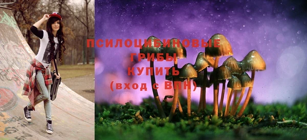 метамфетамин Белокуриха