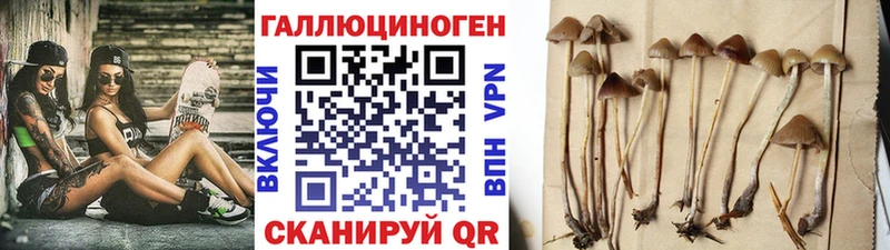 Галлюциногенные грибы мицелий Озёрск